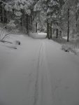 Puis on emprunte le chemin d'été pour Bovonne par Le Fratchi, juste de quoi skier.