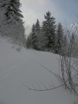 La route qu'on longe. Au fond de la photo on tourne à gauche sur le chemin d'été