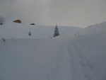 On sort de la forêt et arrivons dans l'alpage de Bovonne.