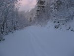 On longe la route de Randonnaire, conseil de la gardienne de la buvette car il n'y a pas assez de neige pour descente normale en forêt. On rejoint ensuite la route de Solalex, où un long faux plat (aie les muscles des bras), nous ramène à Matélon puis Les Pars