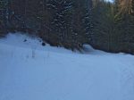 Au virage du Pt1118, on quitte la route pour le chemin forestier
