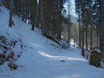 Vers 1200m, on quitte la route forestière pour le chemin d'été sur la gauche.