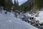 On s'enfonce dans la forêt, en suivant au début le Torrent des Martinets