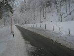 On rejoint la route, que je remonte en peaux sur la droite jusqu'à la fin de la clairière puis à pieds (peu à marcher) jusqu'à la Fontaine des Pautex