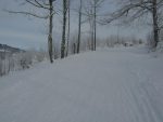 On remonte le long de la route et on croise bien plus de monde ! Je pensais prendre le raccourci indiqué sur Randalp, mais j'ai dû être distrait car je l'ai râté.