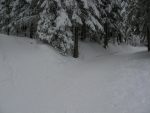 Je retrouve le raccourci qui est le chemin des raquettes, on évite le virage du Pt1285 et on passe en forêt, il y avait assez de neige.
