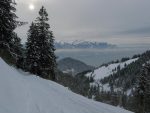 Je longe la route, puis je vois des traces qui partent dans le vallon, sur la droite. J'y vais.