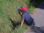On étanche sa soif dans le minuscule ruisseau. Photo Evelyne H.