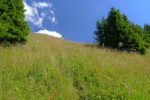Herbes hautes avant la crête