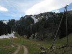 Puis la route se transforme en chemin forestier