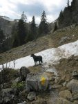 Puis on emprunte avec Valdine, le chemin pour le col de Porte