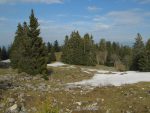 Ces ont les anciennes pistes de ski