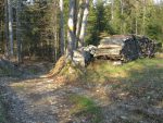 Le chemin pédestre qui va passer devant un dépot de bois