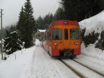 Départ depuis l'arrêt du Train Les Pralies après St-Cergue. 1175m