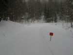 La piste est damée, mais on va profiter d'un raccourci dans la forêt pour couper le virage du Pt1225