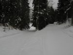 En prenant la route vers le bas, on arrive dans la clairière au dessus du Pt1158 (au dessus de La St-Cergue / Chenalette).