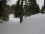 ... pour la quitter de suite par la sente de gauche qui descend dans la forêt