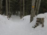 Après avoir longé la forêt et les chalets, on entre à nouveau, sur notre gauche (centre de la photo)