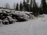 On arrive devant la scierie au bord de la route.
