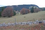 Les murs de pierres sèches du Jura ne sont pas toujours bien entrenus