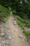 Passage en forêt. Ne pas rater la bifurcation qui fait quitter la route