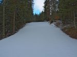 On remonte le long de la piste de descente qui est encore bien enneigée contrairement à la forêt