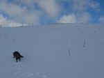 Il nous reste à rejoindre la crête, la neige n'est pas en abondance dans le secteur