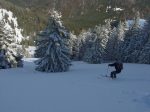 La forêt devient bien plus clairsemée vers le bas