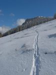 L'herbe n'est pas loin, neige croutée.