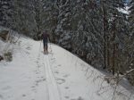 Le chemin forestier tout tranquille