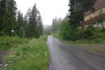 On part le long des remonte-pentes pour suivre au début la route forestière