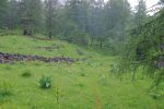 On emprunte un chemin qui passe en forêt, est-ce un vieux muret ?