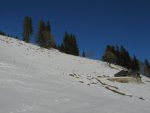 Après un bref passage en forêt, on passe devant La Gite, 1285m