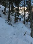 Puis un petit passage en forêt.