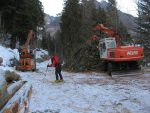 Sex d'en Bas, la route est bien encombrée de reste de coupe de bois !