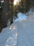 Passage en forêt avec un endroit pentu pour le ski. On passe à l'arrache.