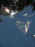 On sort de la forêt avec un certain plaisir !