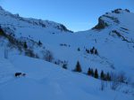 Au centre le col vers Les Châteaux et les deux chiens d'un des trois skieurs qui se donnent à fond !
