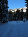 Puis le chemin longeant La Torneresse
