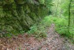 Chemin assez spacieux.