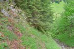 Vue arrière sur le passage étroit pour traverser une ravine.