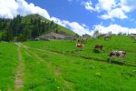 La ferme de Culand