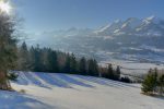 Grand est la tentation de filer en bas, mais il faut rester sur la lisière de la forêt en haut pour rejoindre la route.