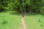 On s'enfonce dans la forêt