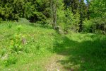 La version d'été monte en forêt, en hiver c'est par la route forestière tout droit