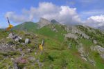 LA Riondaz 1980m. Vue vers la Berneuse