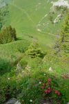 Col de Luissel, en bas