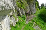 Le chemin longe cette paroi, mais reste confortable