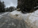 On quitte enfin la route, vers le Pt1580, pour s'enfoncer dans un chemin sous les arbres, toujours à pieds sans les raquettes.