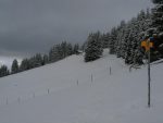 On remonte la clairière, vers le chalet visible